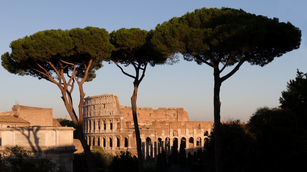 foto: [20171015PV6106-3A]